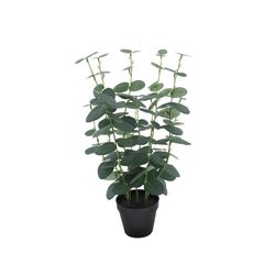 Planta-Artificial-De-Eucalipto-20X50-Cm---Viva