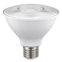 Reflector Led Para Exterior Luz De Día De 8 W - Tecnolite