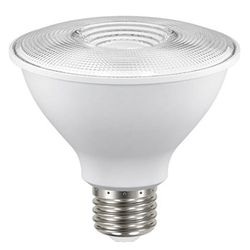 Reflector Led Para Exterior Luz De Día De 8 W - Tecnolite