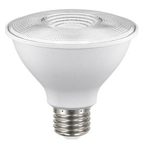 Reflector Led Para Exterior Luz De Día De 8 W - Tecnolite