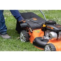 Podadora A Gasolina 139 CC 4 Hp - Truper