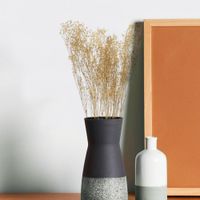 Baby Breath Preservado Natural 1 Unidad - Kotz