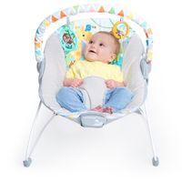 Silla Vibradora Diversión Safari 48.26X53.34X42.23 Cm - Bright Stars