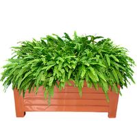 Jardinera Rectangular 26 Plg Terracota - Spartaplast