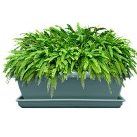 Maceta Plástica Rectangular Verde - Spartaplast Varios Tamaños