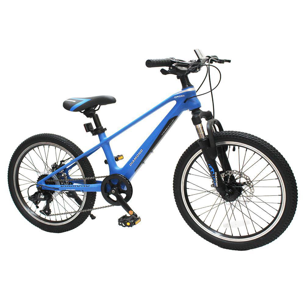 Bicicleta Rin 20 de 7 Velocidades - Varios Colores Azul Y Negro