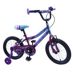 Bicicleta-Bmx-Rin-16-Con-Freno-V-Brake-Color-Morado---Starlight