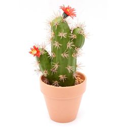 Cactus-Artificial-Con-Maceta-Rosada-47.5X47.5X57-Cm-