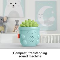 Suculenta Para Recién Nacido Con Sonidos Relajantes - Fisher Price