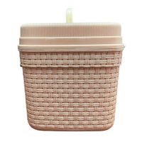 Caja De Plástico Con Agarrador Beige De 10 Lts - Sparta