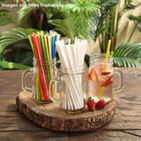 Pajilla Biodegradable Con Cobertor 250U - Nat-bio