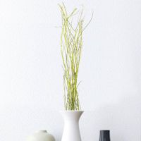Ramas Artesanales 1.25 Mt. Alto 7 Tall - Kotz