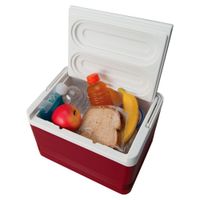 Hielera Cuadrada Roja 8.5 L
