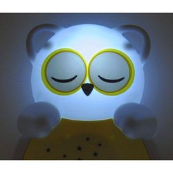 Sweet Dreamz On The Go - Owl - Cloud B
