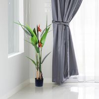 Planta Con Pote 125X40X60 - Concepts