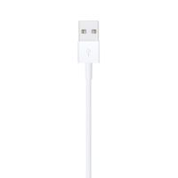 Cable Lightning A Usb De 2 Mts - Apple
