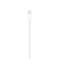 Cable Lightning A Usb De 2 Mts - Apple