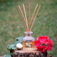 Difusor Grande Aroma Vainilla - Sinovelas