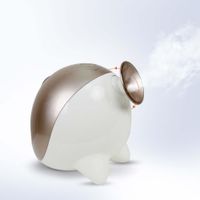 Vaporizador Nano Facial - Touchbeauty