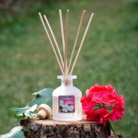 Difusor Grande Aroma Magnolia - Sinovelas