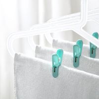 Contenedor Con 24 Ganchos Para Colgar Ropa - Viva