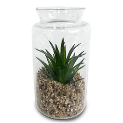 Florero Con Suculenta - Viva