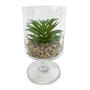 Florero Tipo Copa Con Suculenta - Viva