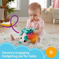 Juguete De Peluche Erizo Estímulos y Juego - Fisher Price