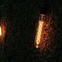 Bombilla Decorativa Tubular Incandescente Ámbar 35 W - Tecnolite
