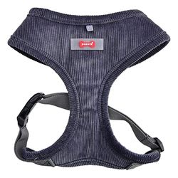 Arnés Classy Talla S - Pet Town