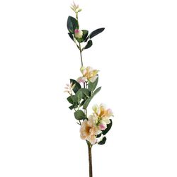 Flor-Artificial-Crema-Decorativa---Concepts