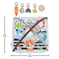 Gimnasio De Actividades Musicales 3 En 1 - Fisher Price