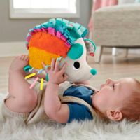 Juguete De Peluche Erizo Estímulos y Juego - Fisher Price