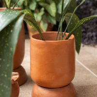 Maceta Crecer Ovalada De Barro 20 Cm - Kikotem