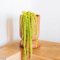 Maceta Crecer Ovalada De Barro 20 Cm - Kikotem