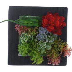 Pote De Plantas Surtidas 15 X 15 X 7 Cm - Concepts