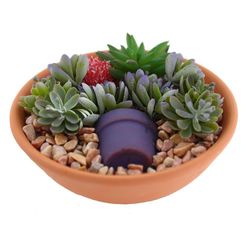 Planta Artificial Con Pote 16X9 Cm - Concepts