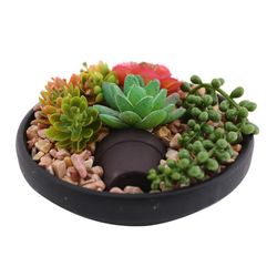 Planta Artificial Con Pote Maceta Negra 16 X 8.5 Cm - Concepts