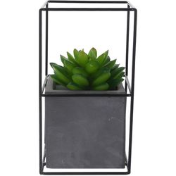 Planta Artificial Con Pote 9X9X16.5 Cm - Concepts