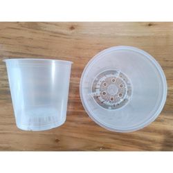 Maceta Para Orquídeas Transparente - Germoveg´s Varios Tamaños