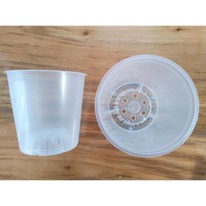 Maceta Para Orquídeas Transparente - Germoveg´s Varios Tamaños