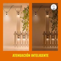 Serie De Luces Para Jardín Led Rgb Wifi 14.6 M - Wiz