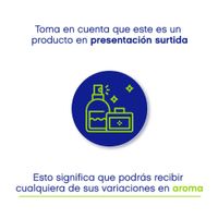 Difusor Para Popurrí De Aromas Surtidos - Concepts