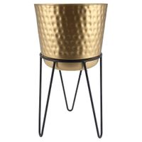 Pote Con Base De 16X31 Cm - Concepts