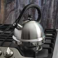 Tetera De Acero Inoxidable Plateado Oscuro 2.1 L - Mr. Coffee