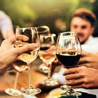 Set De 18 Copas Para Vino 18.8 Oz - Toscana