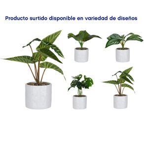 Planta Artificial Con Pote Blanco 25 Cm Diseños Surtidos