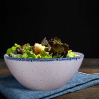 Bowl Blanco Orilla Azul 6.7 Plg - Niu Haus