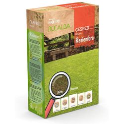 Semilla De Césped De Resiembra 1 Kg - Rocalba