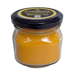 Vela-De-Citronela-En-Frasco-De-Vidrio---Pilandros